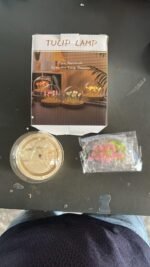 Round Tulip Light - Image 6