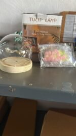 Round Tulip Light - Image 5