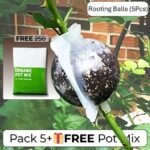 Rooting Balls Pack of 5 with Pot Mix Combo - Image 3