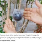 Rooting Balls Pack of 5 with Pot Mix Combo - Image 2