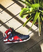 Lebron 12 Phantom “What The LeBron - Image 7