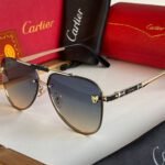 Amazing premium ctr luxury unisex sunglasses - Image 12