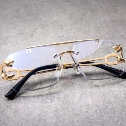 Ctr Premium Quality Sunglasses - AmazingBaba