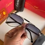 Ctr premium luxury unisex sunglasses - Image 9