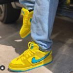 Sb Dunk Premium Quality Shoes - AmazingBaba