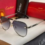 Ctr premium luxury unisex sunglasses - AmazingBaba