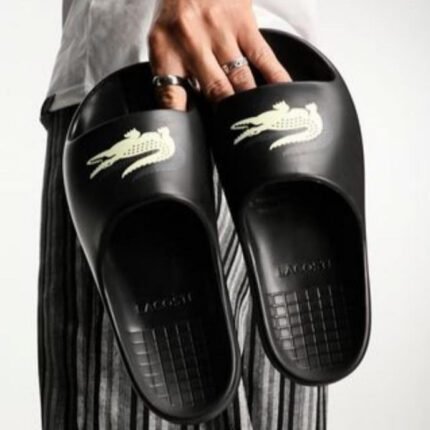Lcoste premium evo slide - AmazingBaba