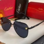 Amazing premium ctr luxury unisex sunglasses - AmazingBaba