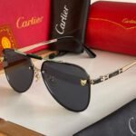 Amazing premium ctr luxury unisex sunglasses - Image 10