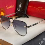 Amazing premium ctr luxury unisex sunglasses - AmazingBaba