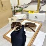 Amazing bburry luxury men sunglasses - Image 7