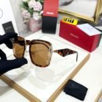 Amazing Premium Luxury Woman Sunglasses - AmazingBaba