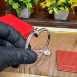 Ctr Premium Diamond Luxury Bracelet - AmazingBaba