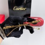 Ctr premium quality luxury sunglasses - AmazingBaba