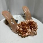 Amazing transparent rose pumps - AmazingBaba