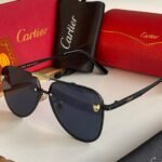 Ctr premium luxury unisex sunglasses - Image 10