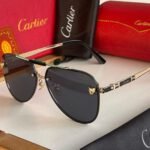 Ctr premium luxury unisex sunglasses - Image 8