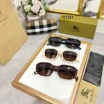 Amazing bburry Premium sunglasses