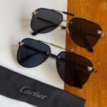 Ctr premium luxury unisex sunglasses - AmazingBaba