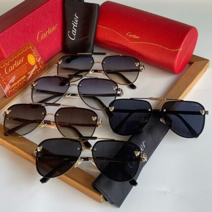 Ctr premium luxury unisex sunglasses - AmazingBaba