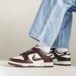 Amazing nk Sb Dunk cacoa shoes